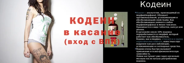меф Пересвет