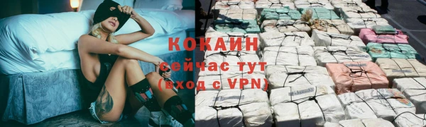 меф Пересвет